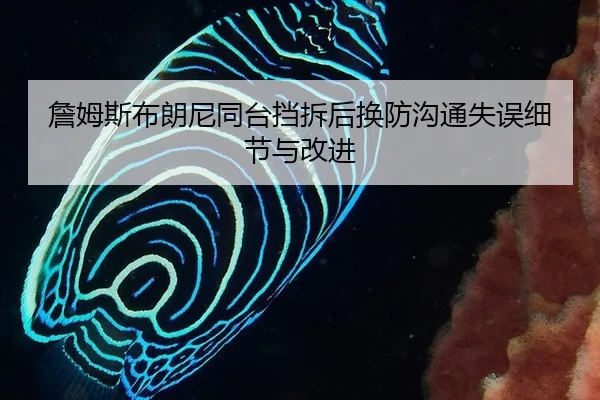 詹姆斯布朗尼同台挡拆后换防沟通失误细节与改进