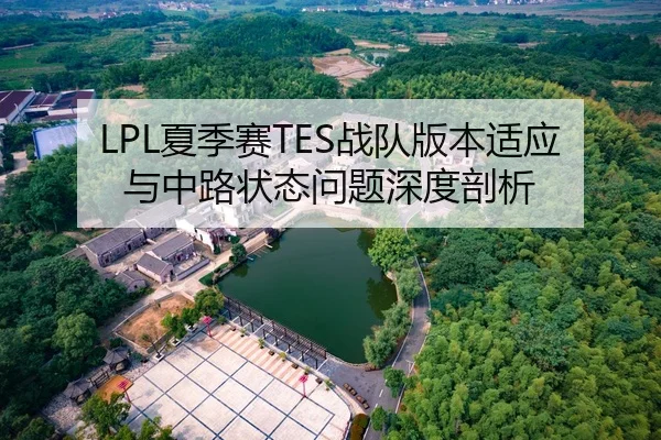 LPL夏季赛TES战队版本适应与中路状态问题深度剖析