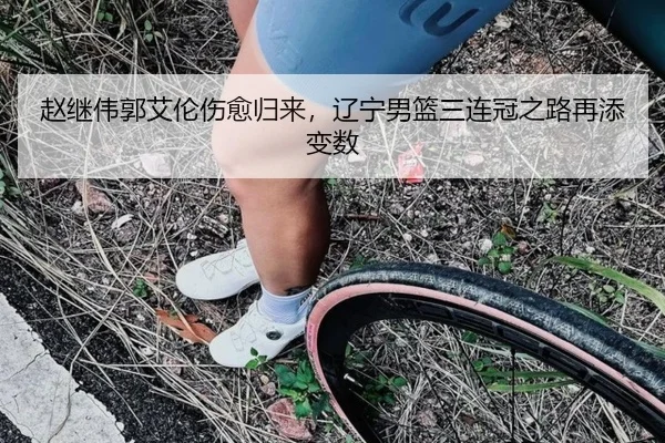 赵继伟郭艾伦伤愈归来，辽宁男篮三连冠之路再添变数