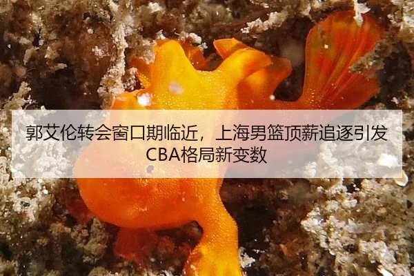 guo-ai-lun-zhuan-hui-chuang-kou-qi-lin-jin-shang-hai-nan-lan-ding-xin-zhui-zhu-yin-fa-ge-ju-xin-bian-shu-2-730.jpg