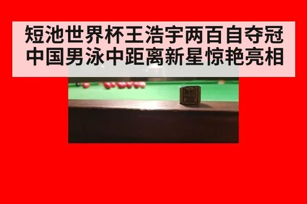 短池世界杯王浩宇两百自夺冠 中国男泳中距离新星惊艳亮相