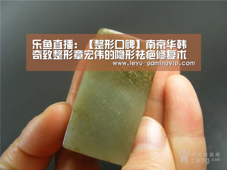 乐鱼体育